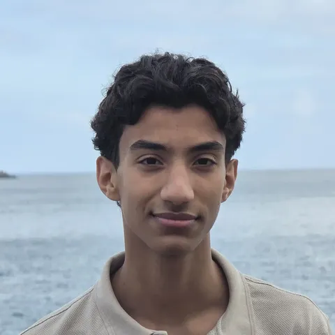 Ahmed Shehata